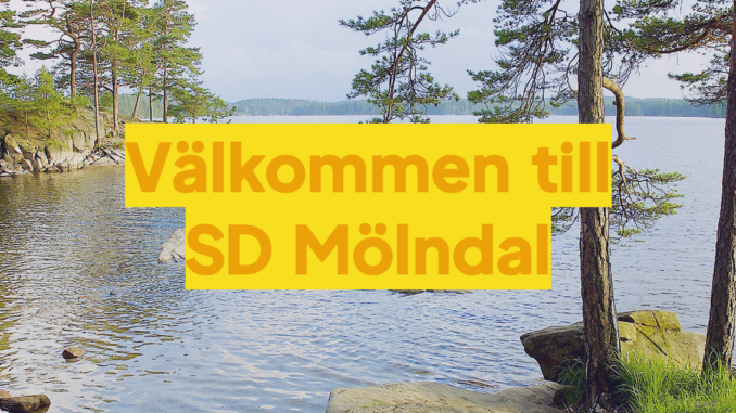 Skärmavbild 2024-02-04 kl. 18.57.11